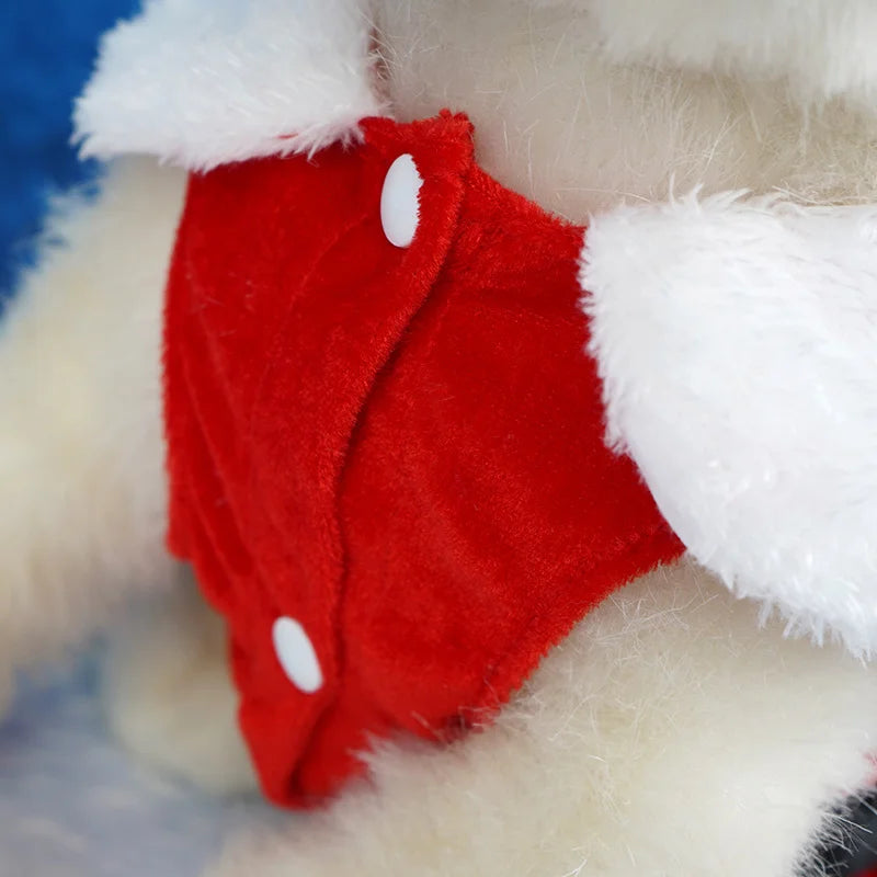 Christmas Dog Dress – Santa Style